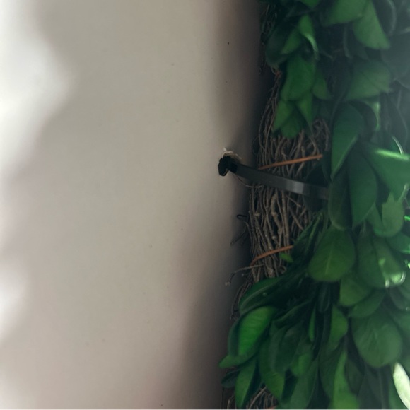 NEW Preserved Boxwood & Lavender Heart Wreath 20IN Spring/Summer Love - Picture 13 of 16